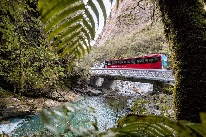 Milford Sound Coach & Cruise ex Te Anau Stunning Views with Lunch - Mirror Lakes and the art of stopping briefly