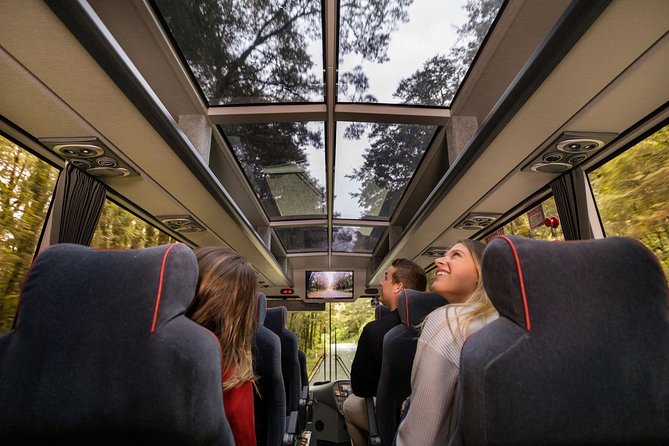 Milford Sound Coach & Cruise from Queenstown: Panoramic Views - Comfort, weather, and family considerations