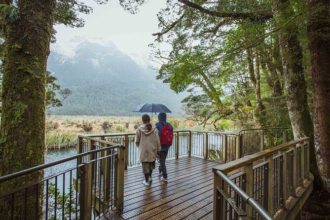 Milford Sound Coach & Cruise Tour from Te Anau - Is the $127.22 price good value?