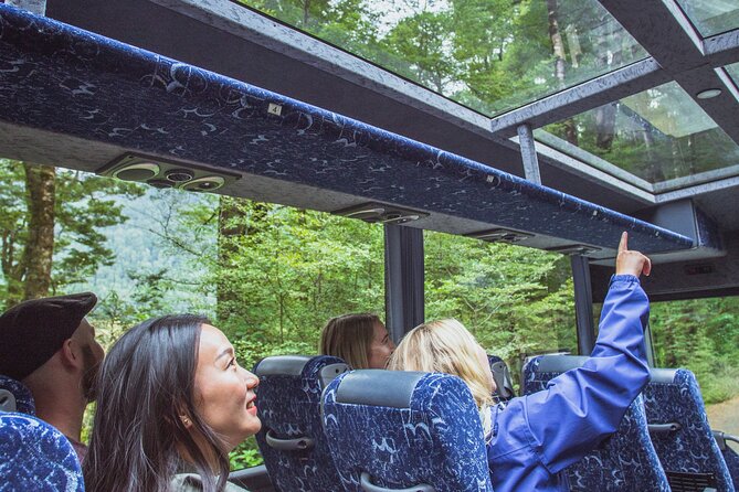 Milford Sound Coach & Cruise Tour from Te Anau - Starting in Te Anau at Kiwi Country