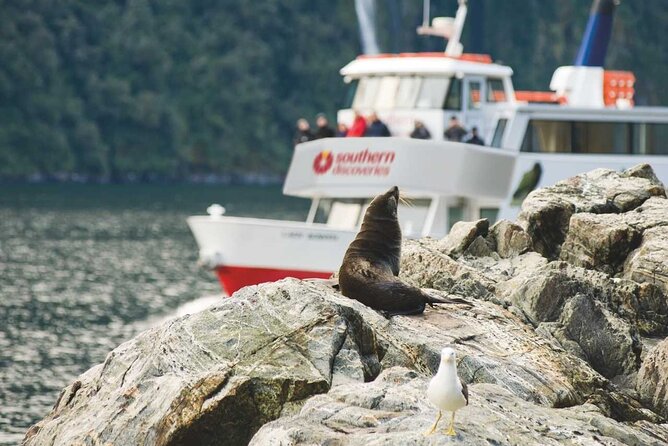 Milford Sound Coach & Extended Cruise from Queenstown - Is $207.89 good value?