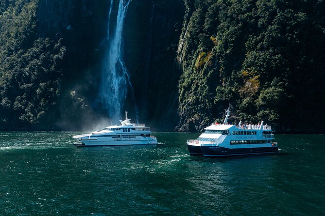 Milford Sound Cruise - Key points to know before you book