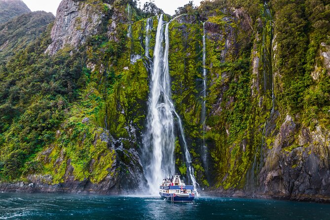 Milford Sound Cruise from Queenstown or Te Anau - Food, coffee, and what to bring