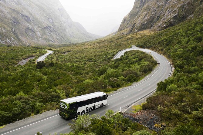 Milford Sound Cruise from Queenstown or Te Anau - The real cost at $145.83