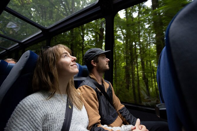 Milford Sound Cruise from Queenstown or Te Anau - Comfort, crowd size, and the bus reality