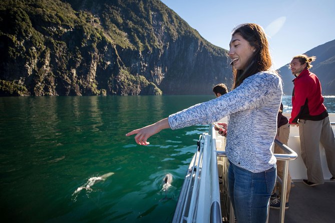 Milford Sound Cruise: Stunning Views & Optional Picnic or Buffet - Seal Point and the search for wildlife