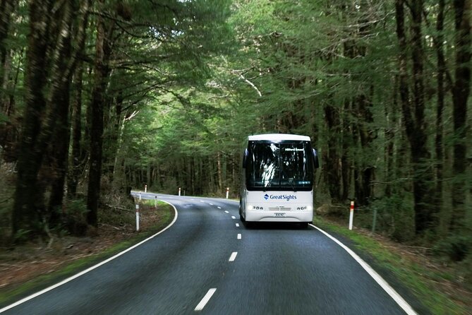 Milford Sound Day Tour from Te Anau - Beech forest, Christie Falls, and the Homer Tunnel