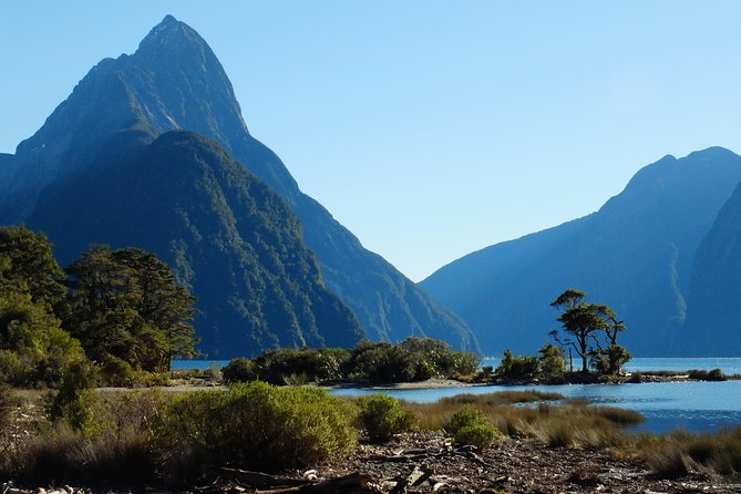 Milford Sound Discovery Tour - Why the private Queenstown departure matters