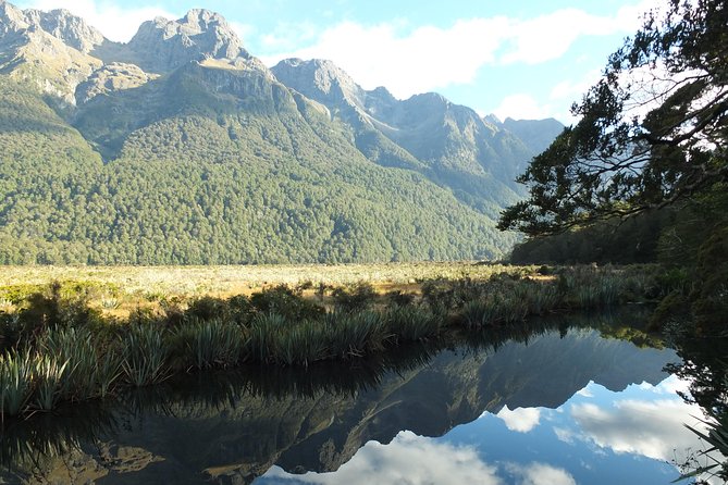 Milford Sound Discovery Tour - The Chasm: a short walk to powerful water