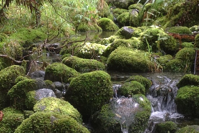 Milford Sound Discovery Tour - Milford Sound: the 1-hour-45-minute cruise