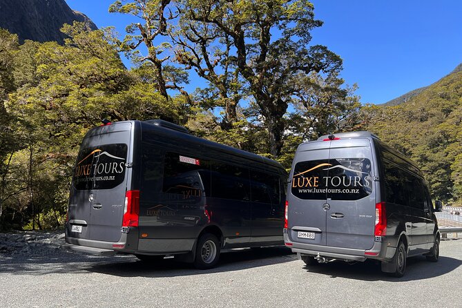 Milford Sound Full Day Tour from Te Anau with Cruise - Why the drive from Te Anau is worth your time