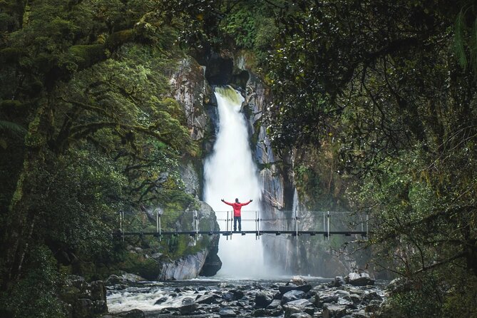 Milford Sound Nature Cruise and Self-Guided Scenic Track Walk - Two classic Milford Sound views in one day