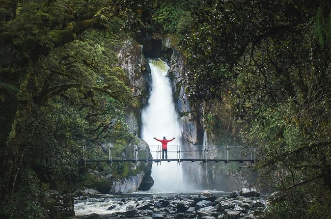 Milford Sound Nature Cruise and Self-Guided Scenic Track Walk - Seeing Milford Sound from a purpose-built catamaran