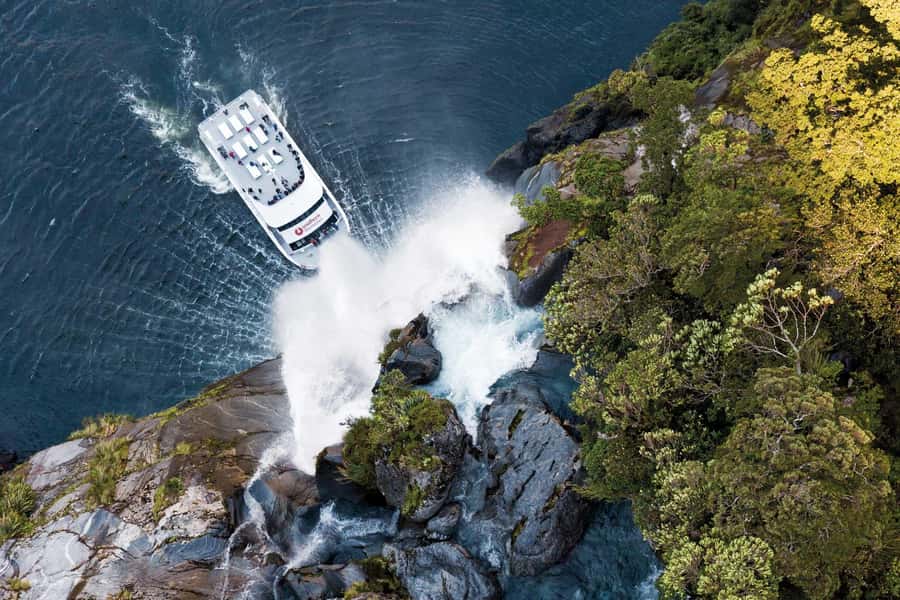 Milford Sound: Nature Cruise - Grand Views & Optional Lunch - Key points to know before you book