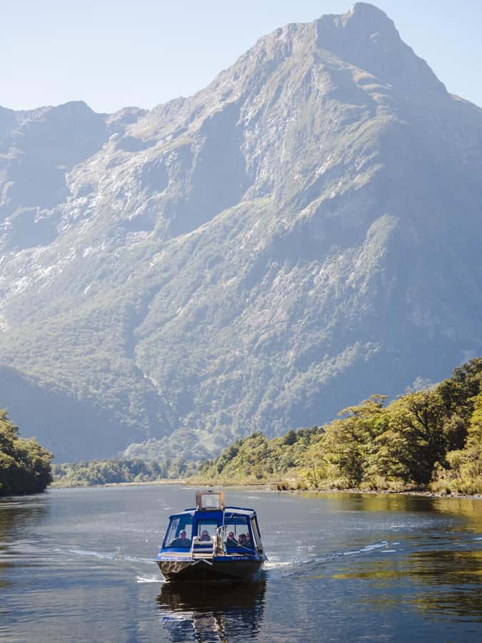 Milford Sound: Nature Cruise & Milford Track Walk - Cruising under Milford Sound’s waterfalls