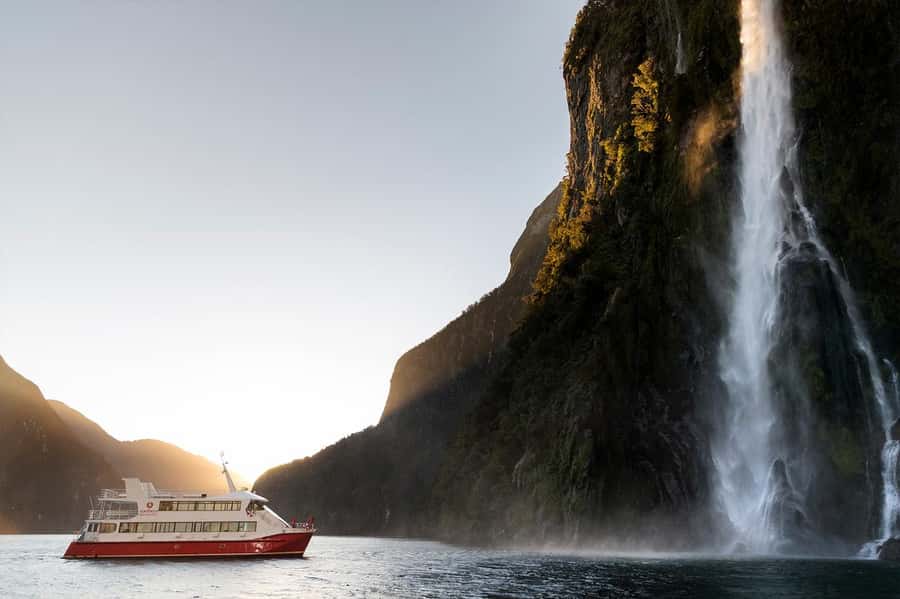 Milford Sound: Nature Cruise & Milford Track Walk - Wildlife and the value of looking closely