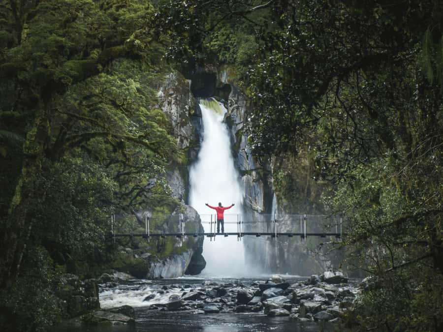 Milford Sound: Nature Cruise & Milford Track Walk - What $133 includes, and where the value lies