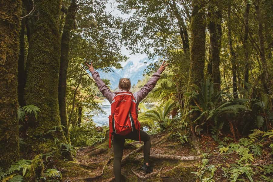 Milford Sound: Nature Cruise & Milford Track Walk - Who should book this Milford Sound day