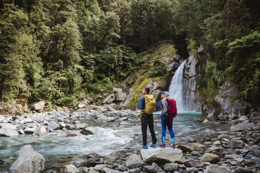 Milford Sound: Nature Cruise & Milford Track Walk - Should you book it?