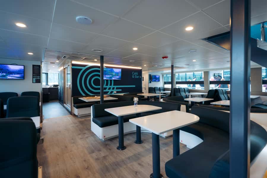 Milford Sound: Nature Cruise on a Modern Catamaran - The road to Milford Sound is part of the commitment