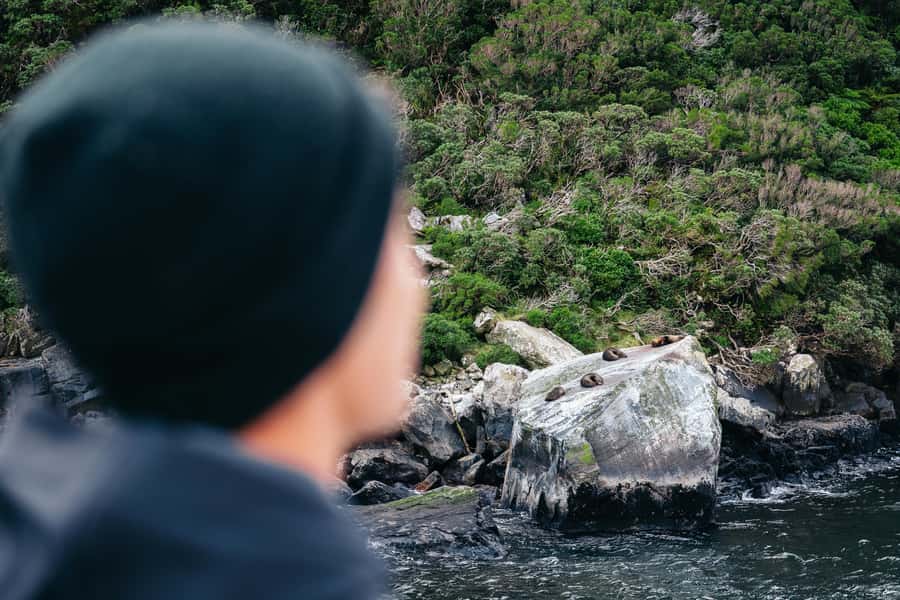 Milford Sound: Nature Cruise on a Modern Catamaran - Accessibility and family considerations