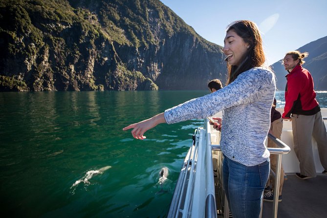 Milford Sound Nature Cruise with Southern Discoveries - Five details that make this Milford Sound cruise worth considering