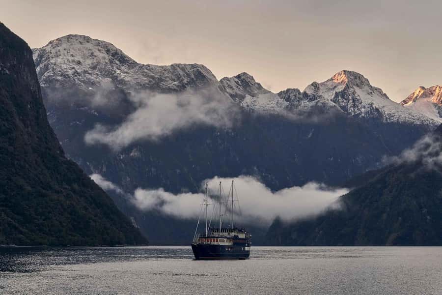 Milford Sound: Overnight Cruise with Water Activities - The swimming option is for the brave