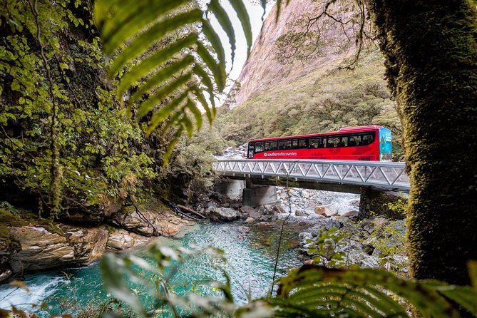 Milford Sound Premium Coach and Cruise with Lunch from Te Anau - Two hours in Milford Sound, including the cruise