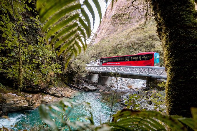 Milford Sound Premium Coach & Cruise from Queenstown with Lunch - The tunnel and The Chasm