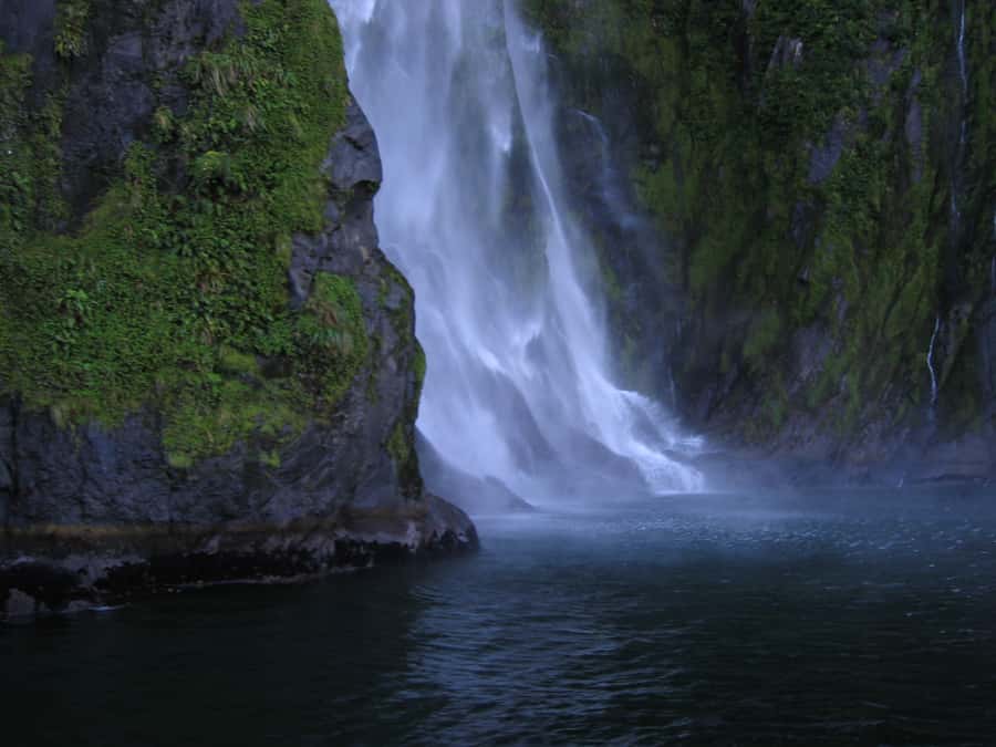 Milford Sound Premium Day Tour and Cruise from Te Anau - Rainforest, mountain roads, and weather