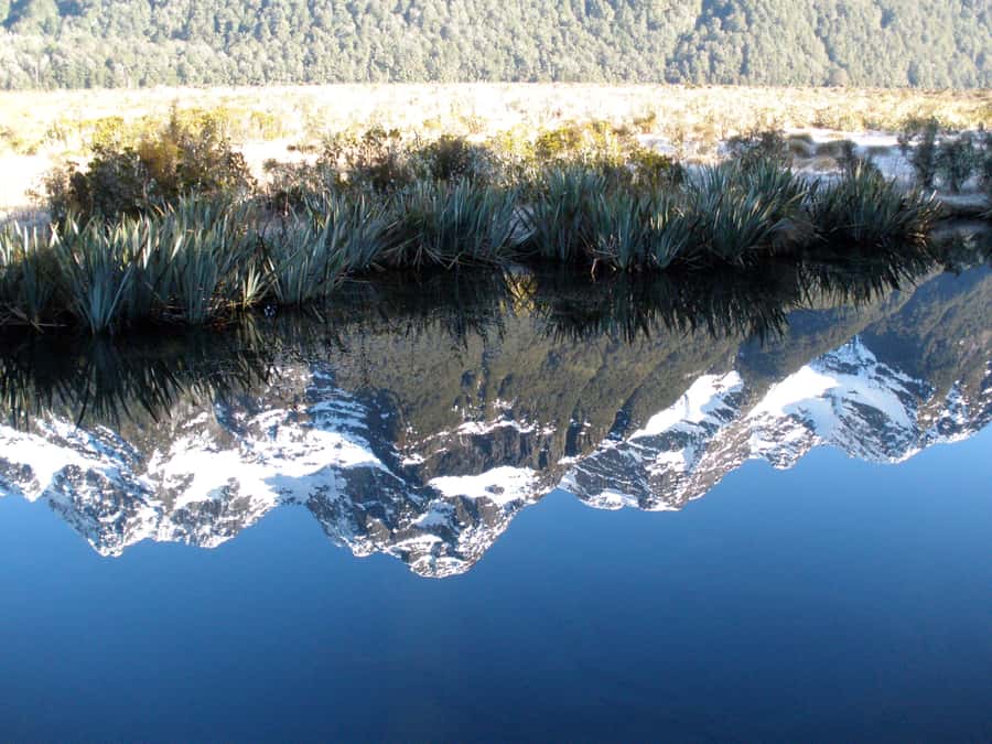 Milford Sound Premium Day Tour and Cruise from Te Anau - What the $140 price includes