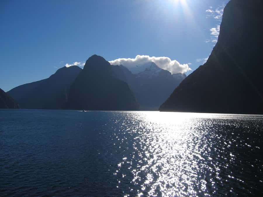 Milford Sound Premium Day Tour and Cruise from Te Anau - Should you book it?