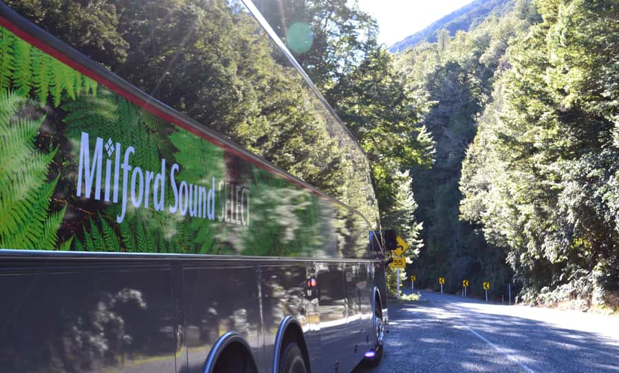 Milford Sound Premium Day Tour and Cruise from Te Anau - Mirror Lakes and the first photo stops