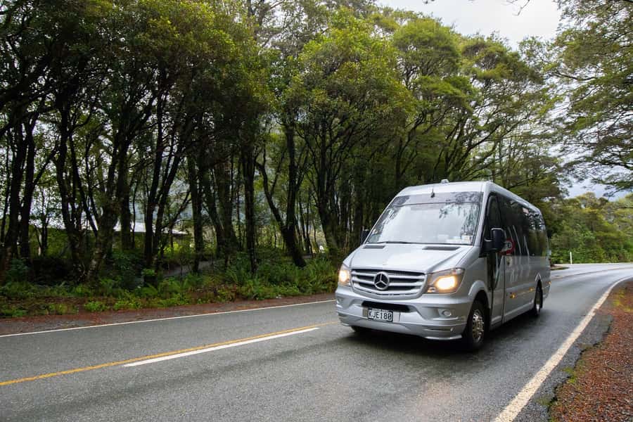 Milford Sound: Premium Small Group Tour from Queenstown - Who should book this tour