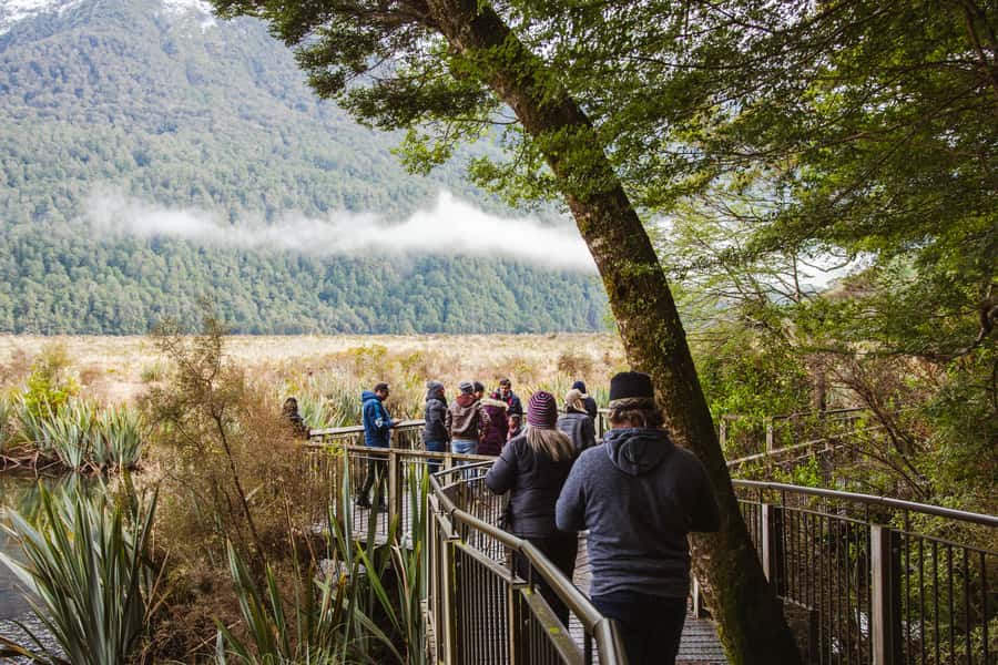 Milford Sound: Premium Small Group Tour from Queenstown - The return journey and why the pacing matters