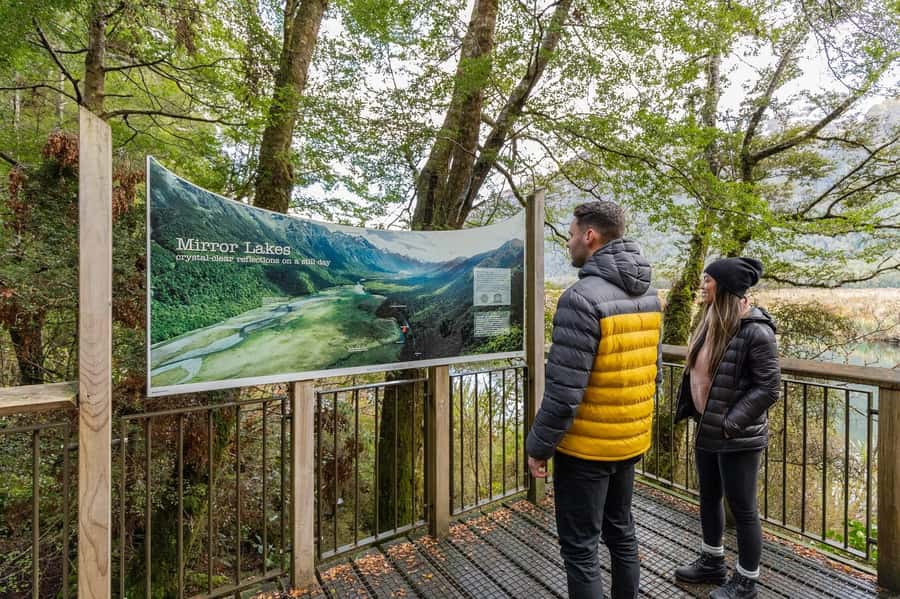 Milford Sound: Premium Small Group Tour from Queenstown - The glass-roof van upgrade