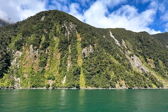 Milford Sound Private Day Trip from Queenstown via Te Anau - Entering Fiordland National Park on the Milford Road