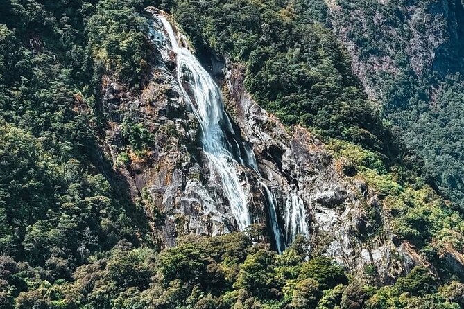Milford Sound Private Day Trip from Queenstown via Te Anau - Mirror Lakes, a short walk with a quiet payoff