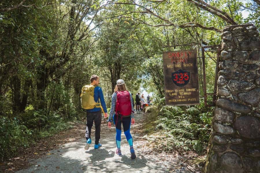 Milford Sound: Self-Guided Milford Track Day Walk - A Short Taste of the Milford Track