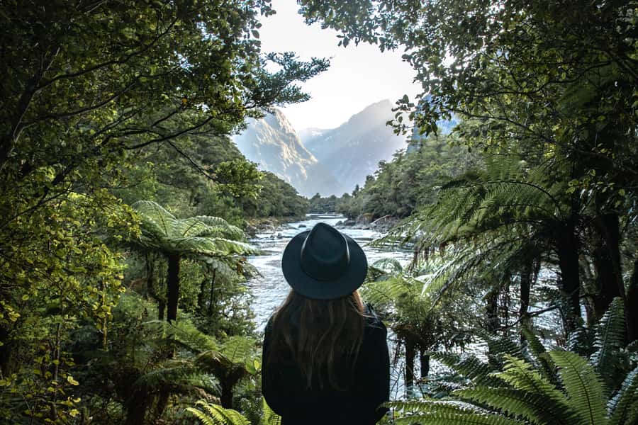 Milford Sound: Self-Guided Milford Track Day Walk - Walking Through Beech, Rimu, and Native Bush