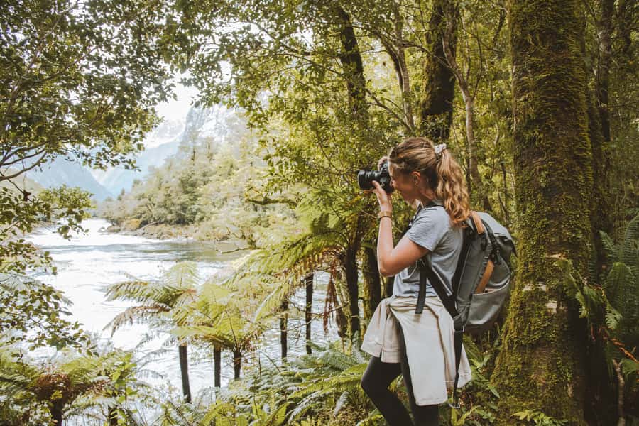 Milford Sound: Self-Guided Milford Track Day Walk - Giant Gate Falls, the Turning Point