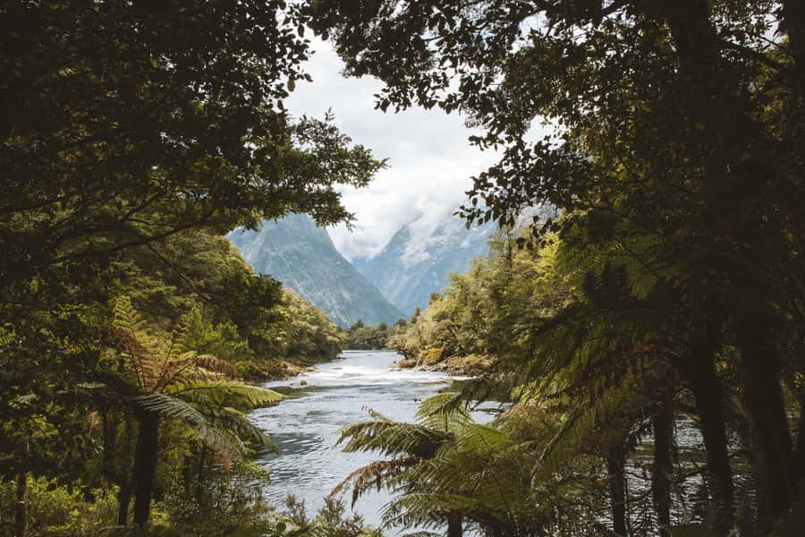 Milford Sound: Self-Guided Milford Track Day Walk - How Much Time You Really Need