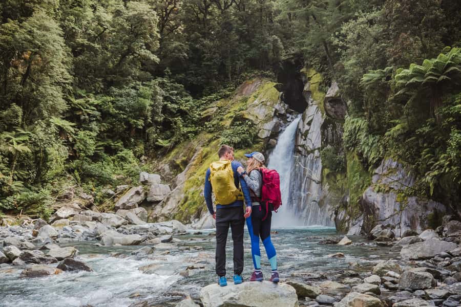 Milford Sound: Self-Guided Milford Track Day Walk - Is $44 Good Value?