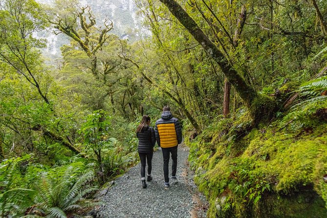 Milford Sound Small Group Tour from Queenstown with Scenic Flight - Is $557.90 a fair price?