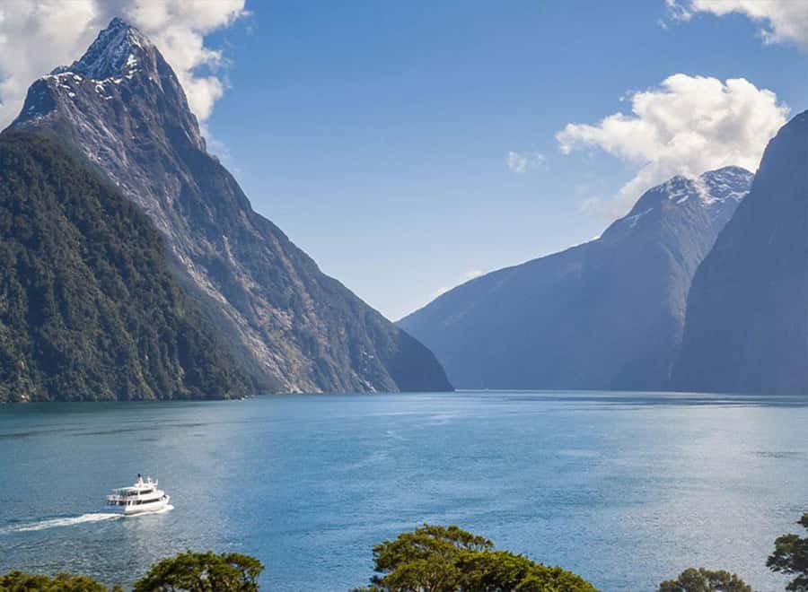 Milford Sound: Small-Group Tour from Te Anau - A coach ride made for looking outside