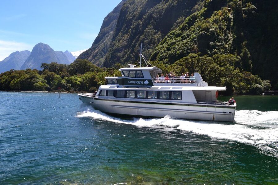 Milford Sound: Small-Group Tour from Te Anau - Morning tea and a useful picnic lunch