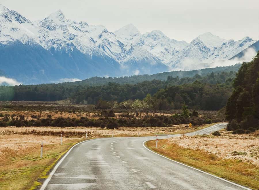 Milford Sound: Small-Group Tour from Te Anau - Who should choose this Te Anau tour?