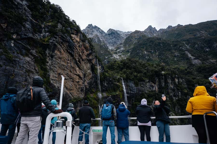 Milford Sound: Waterfalls, Wildlife, and Rainforest Cruise - Watching for seals, dolphins, and penguins