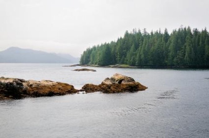 Misty Fjords Flightseeing 1 hour - Key points to know before you book