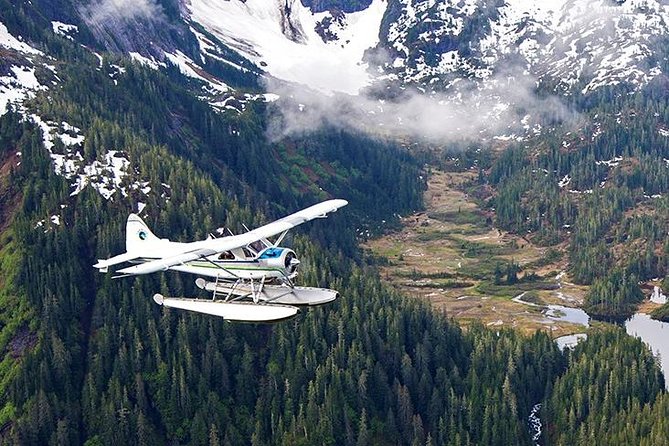 Misty Fjords Flightseeing 1 hour - Why the Misty Fjords deserve an hour from the air